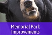 black bear - memorial park improvements