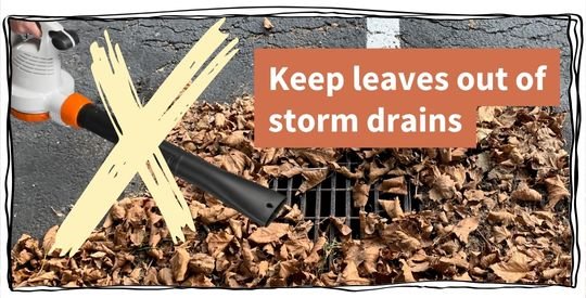 A large x over a leaf blower and a pile of leaves clogging a storm drain