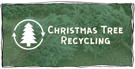 Green washed out photo of Christmas trees piled up awaiting recycling