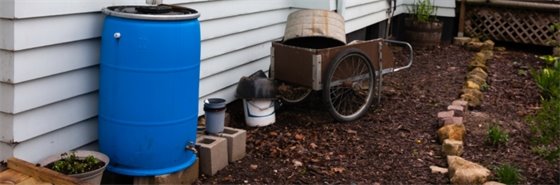 A rain barrel sits in a garden