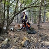 Ripple Effect 2019 Finalists