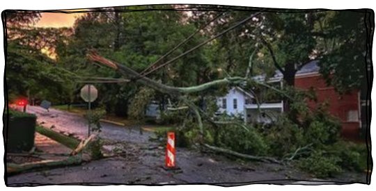 Large tree limb fallen in street, taking down power lines