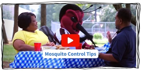 Two people sit around a picnic table while a costumed mosquito ruins their fun
