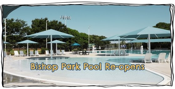 Newly built Bishop Park pool