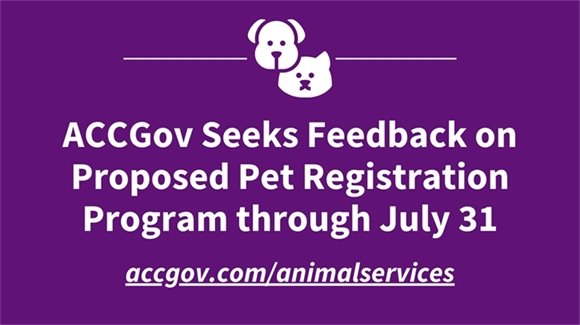 A purple and white text based image that reads "ACCGov Seeks Feedback on Proposed Pet Registration Program through July 31."