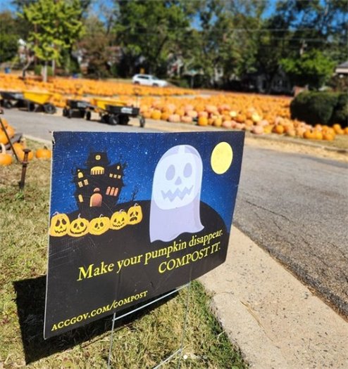 A reminder to compost your pumpkin