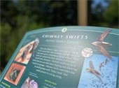 Artistically blurred sign about Chimney Swifts