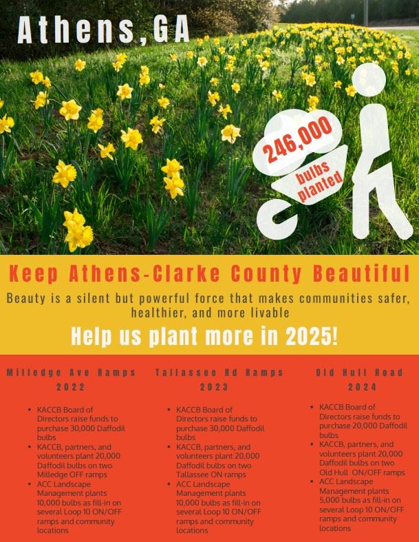 Daffodil infograph fy24