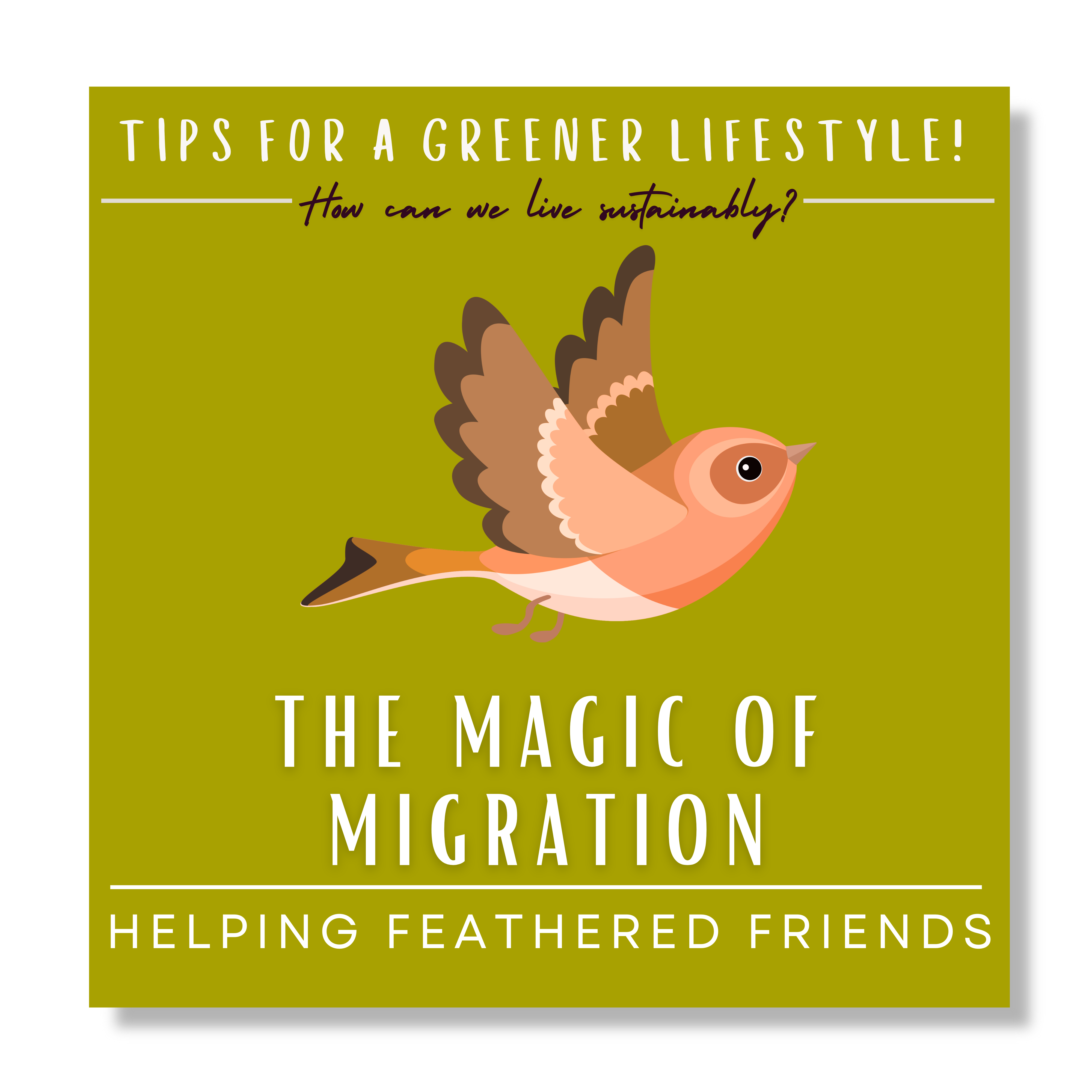 Renewable Energy Projects WEBSITE (36)