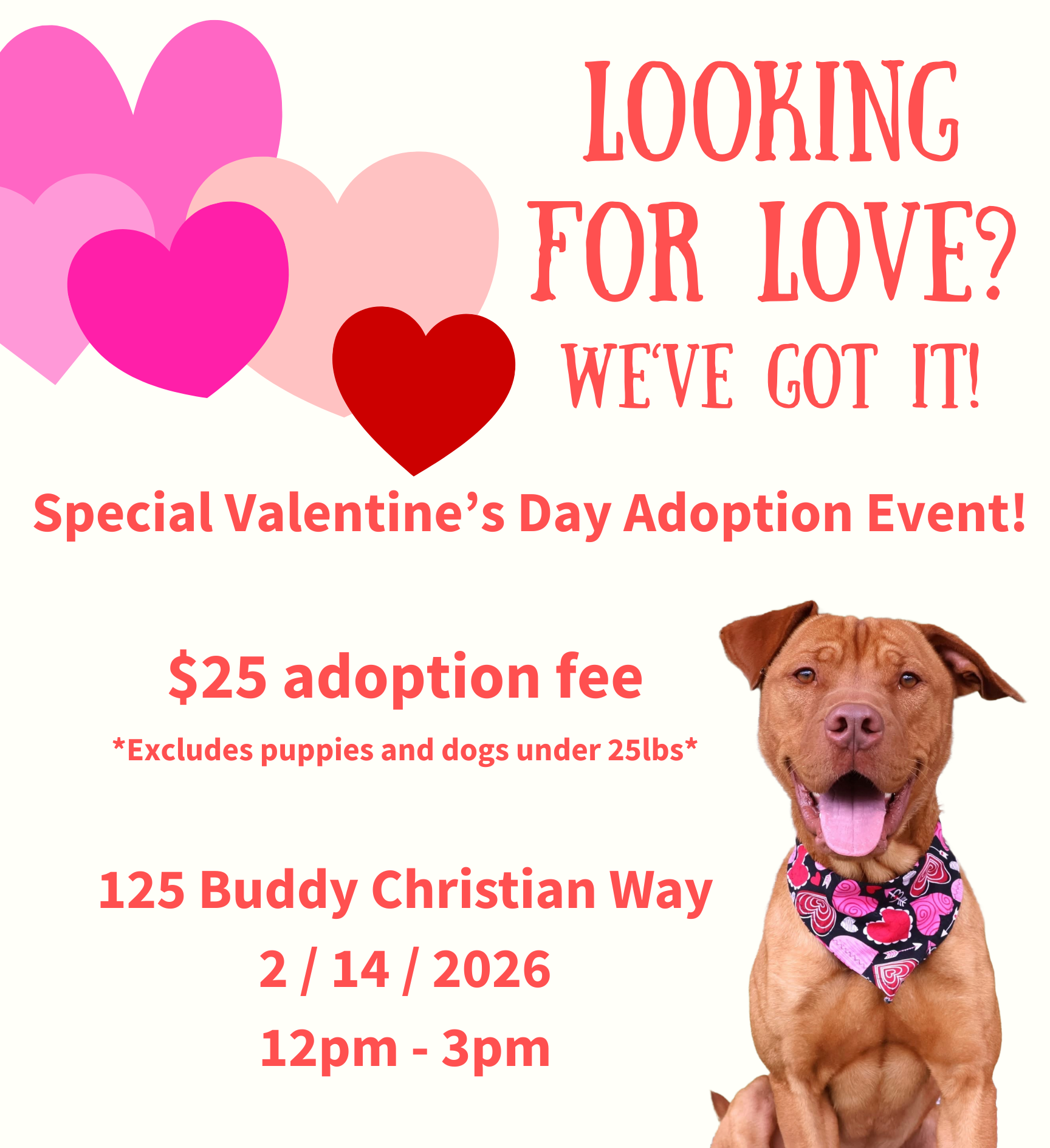 Valentine's Day Adoption Event Promotion Flyer with dog