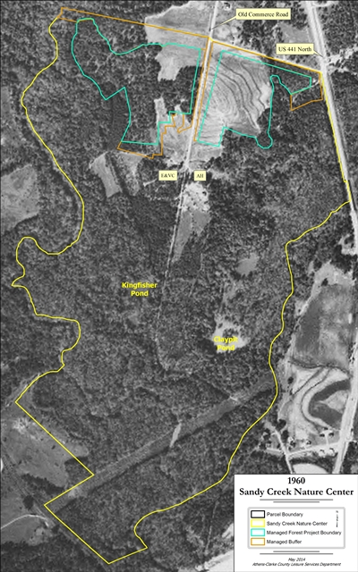 1960 Aerial of SCNC with managed forest zones-verticle