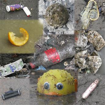 Collage of Items Not to Flush