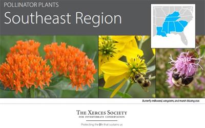 jpg of pollinator plants for se region header