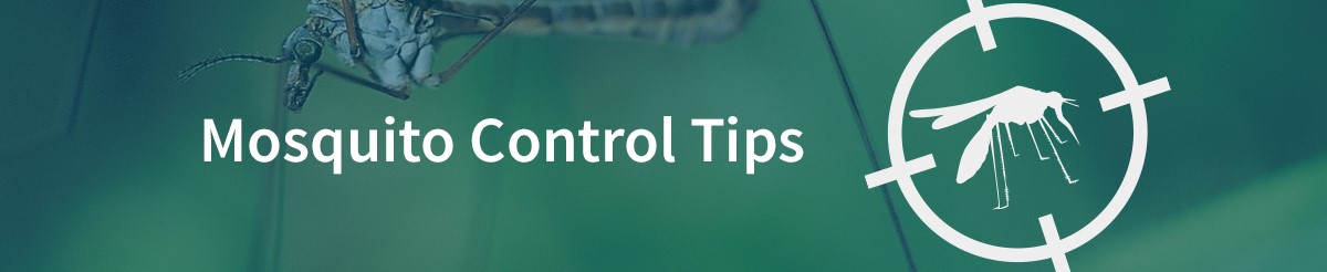 Mosquito-Control-Header