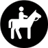 Horseback Trail