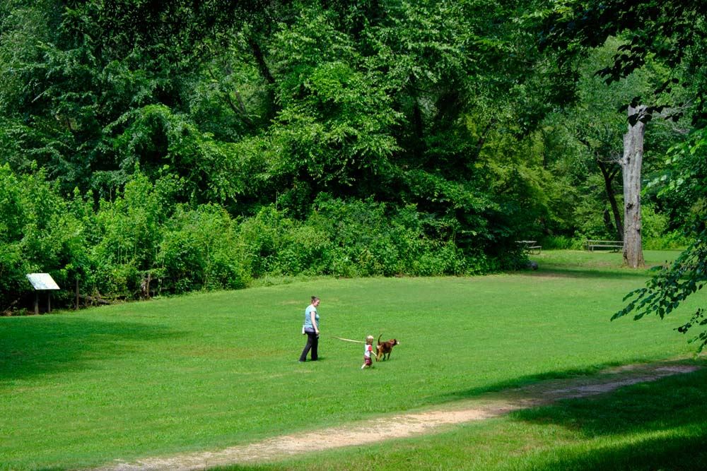 Person walking dog in open space at park