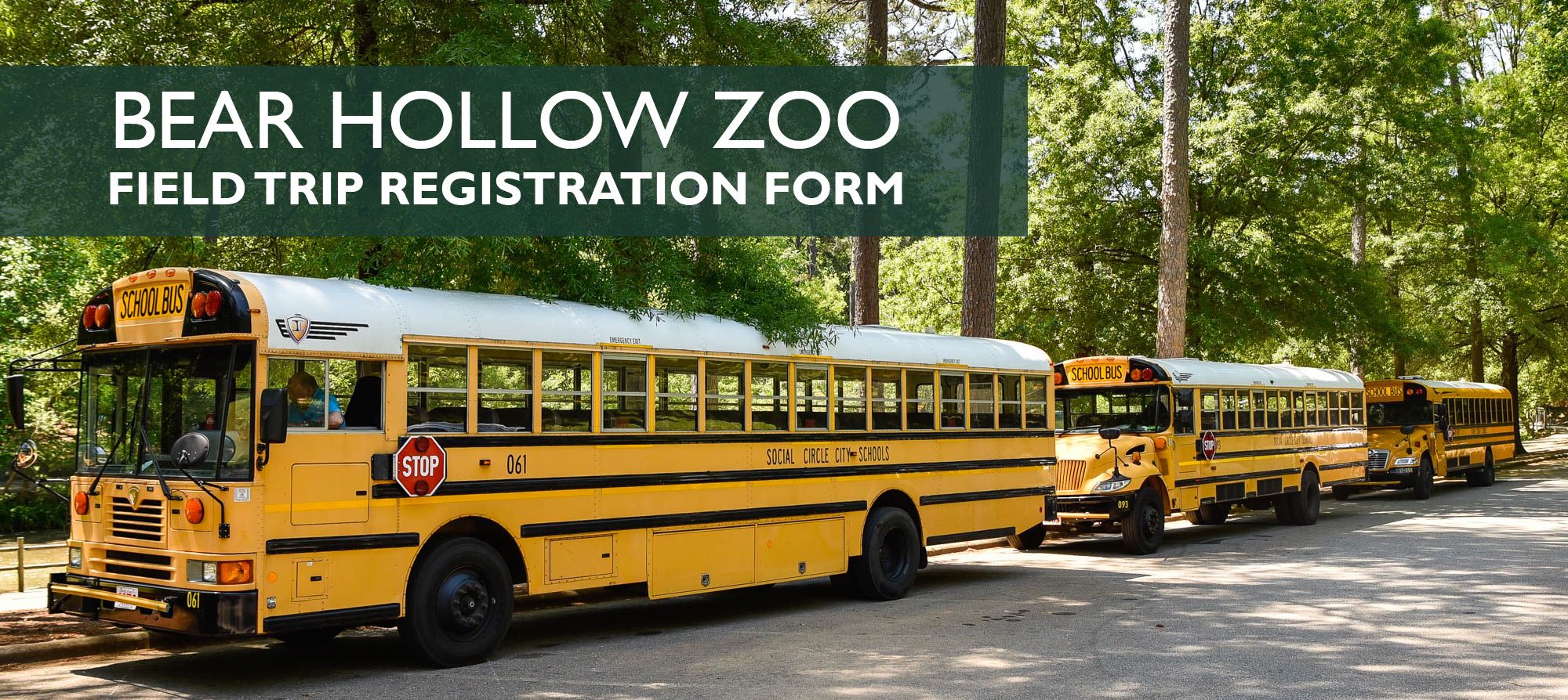 Bear Hollow Zoo Field Trip Form