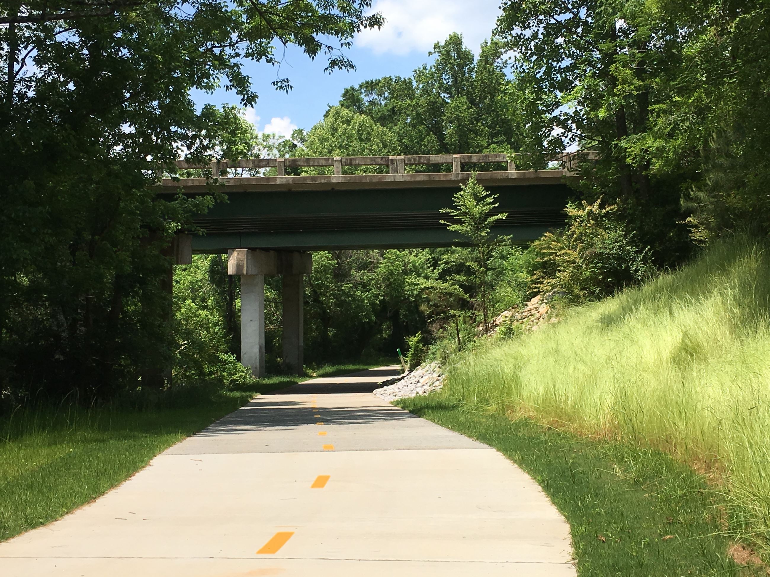 Multi purpose paved trail through forest