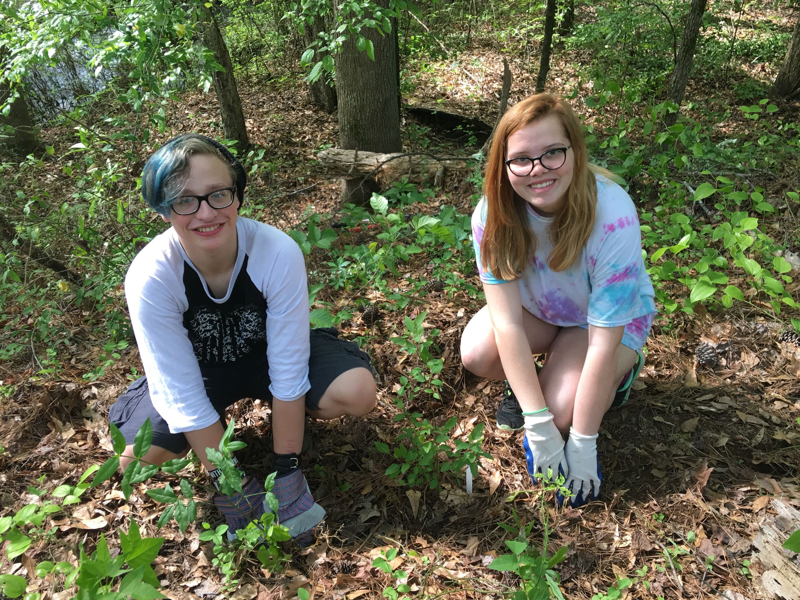 Athens Montessori k-12