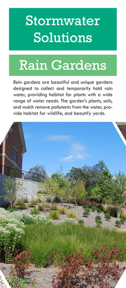 Stormwater Solutions - Rain Gardens thumbnail