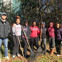 Hands On Athens volunteers