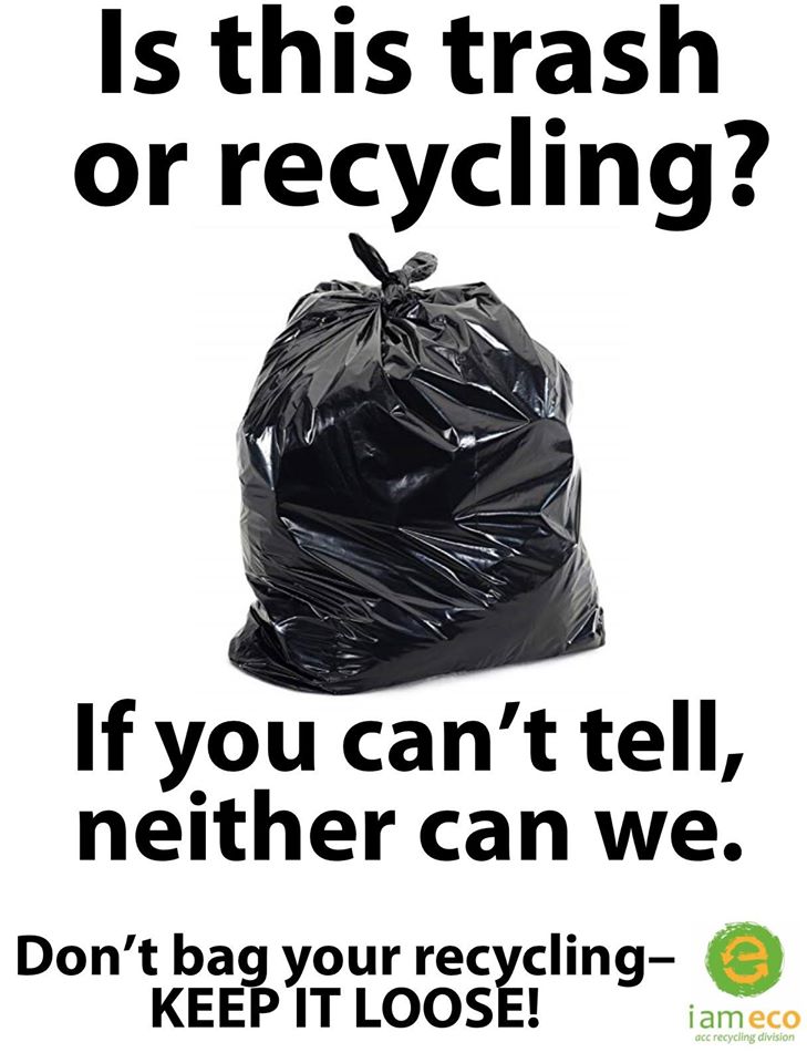 Trash or Recycling