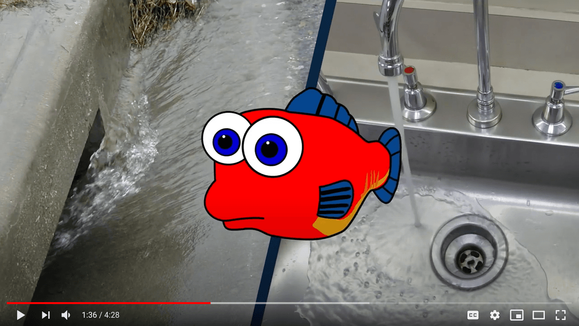 freddy the fish video screenshot