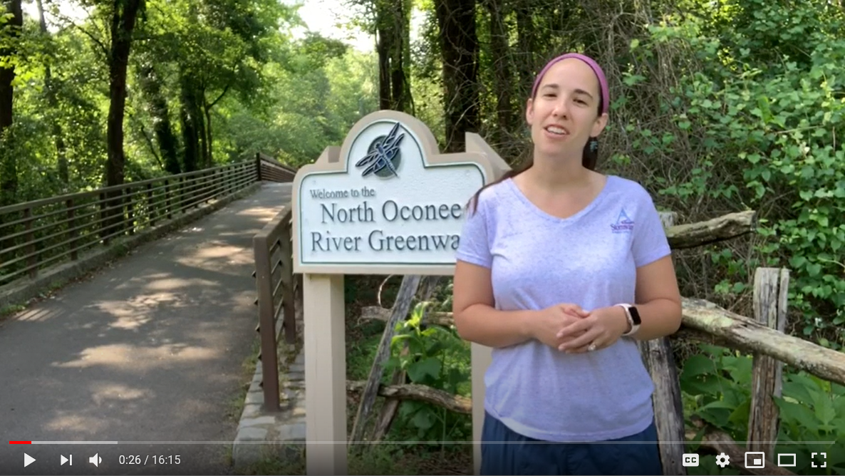 journey of a raindrop video screenshot