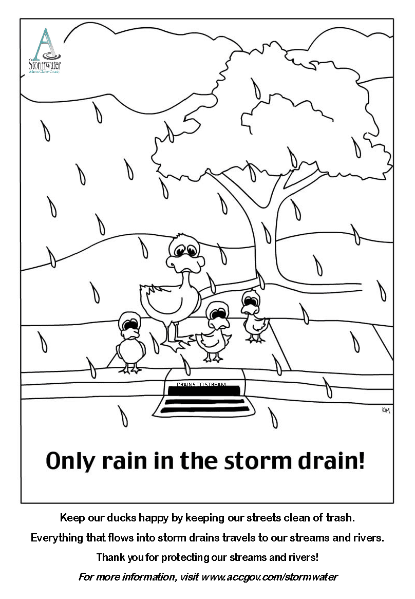 Ducks coloring sheet
