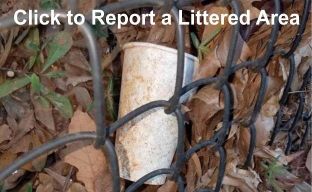 Report a Littered Area