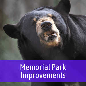 memorial-park-improvements-graphic