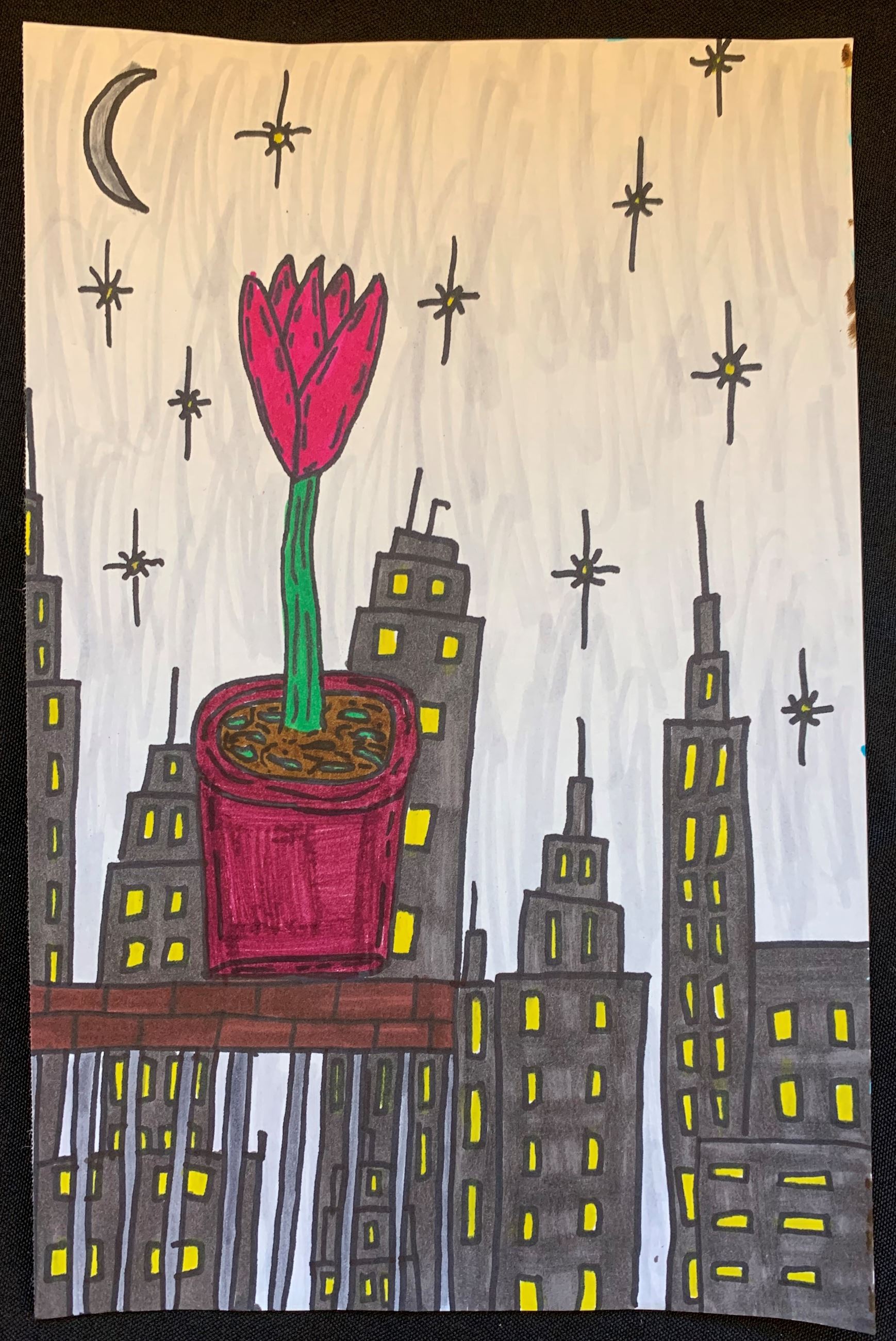 Arrow Callahan Grade 5 (2)