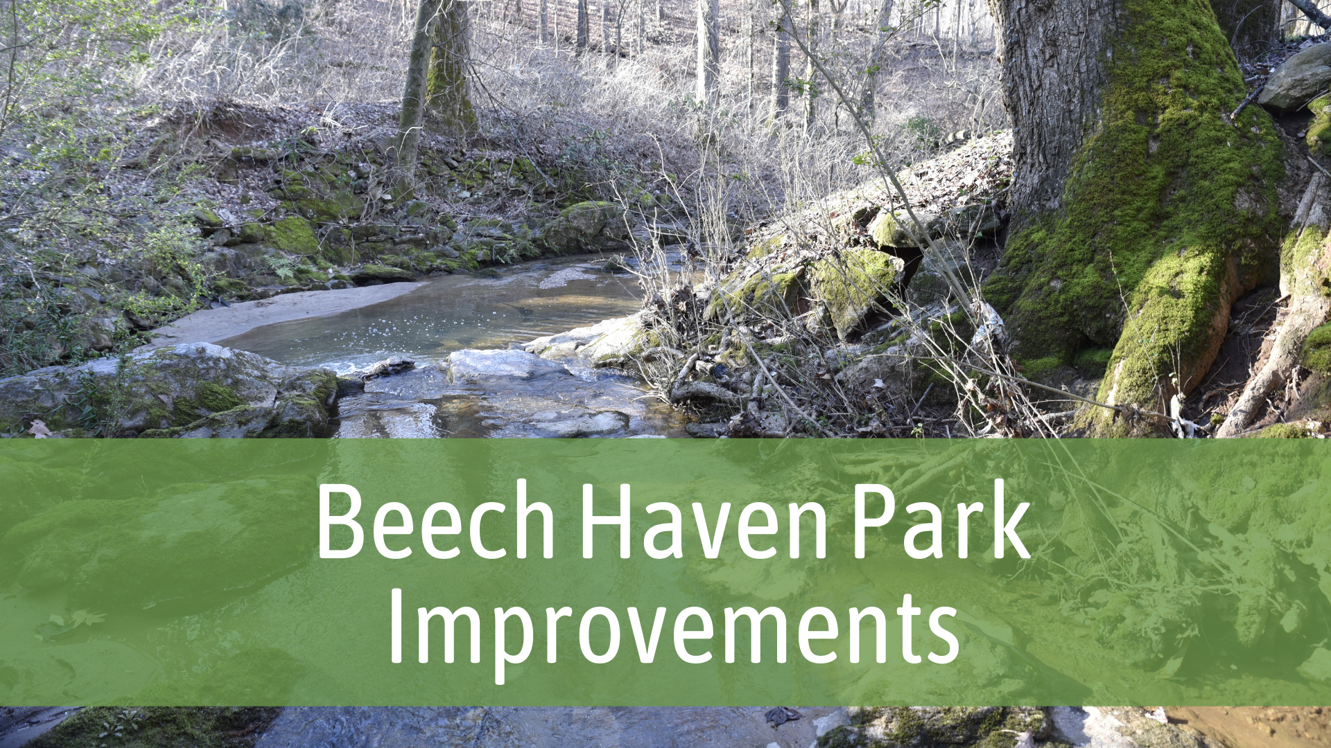 beech-haven-bannergraphic-lslistens