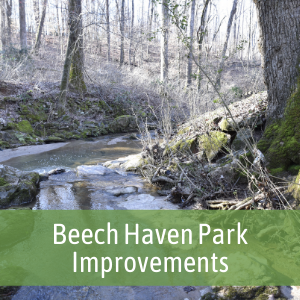beech-haven-park-improvements