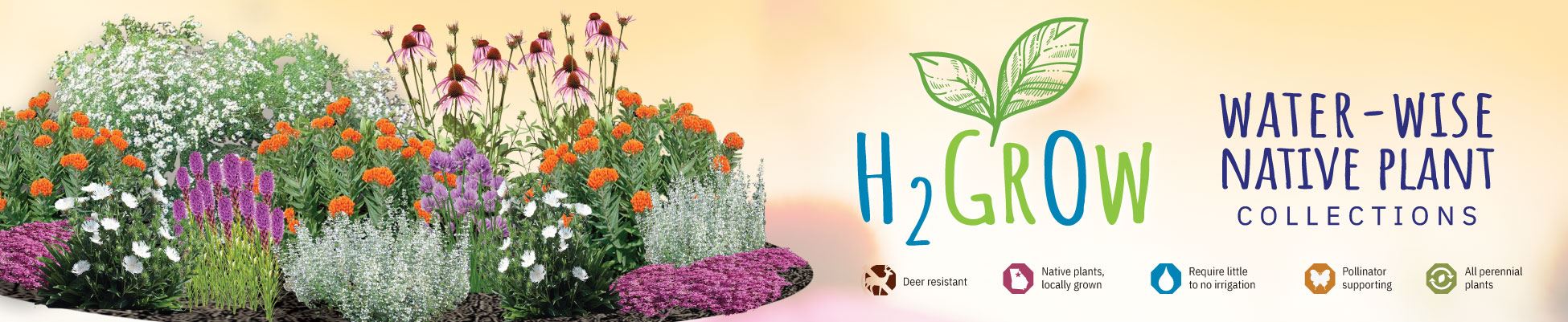 h2grow-web-banner