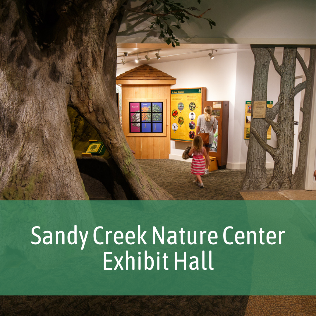 scnc-exhibit-graphic