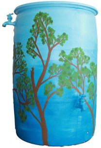 Anne McKenzie 2013 barrel