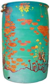 Lily Swindle 2013 barrel