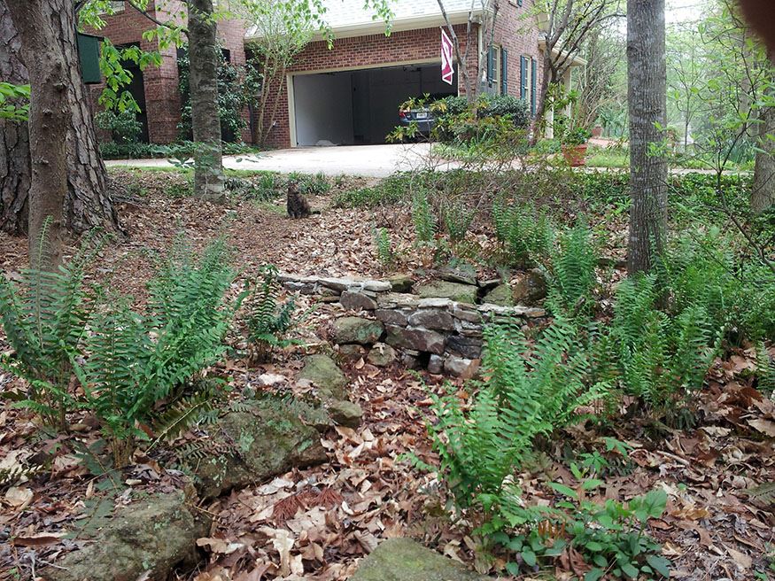 J Crowley Stormwater Steward 2015