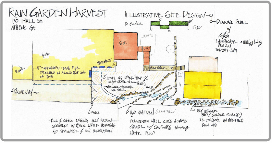 2011 stormwater steward
