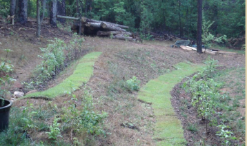 2012 stormwater steward