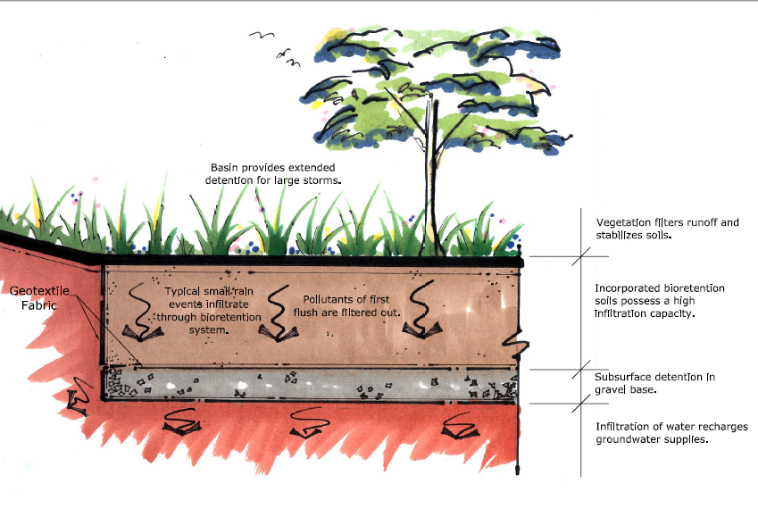 2006 stormwater steward