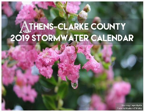 2019 Stormwater Calendar Cover Photo