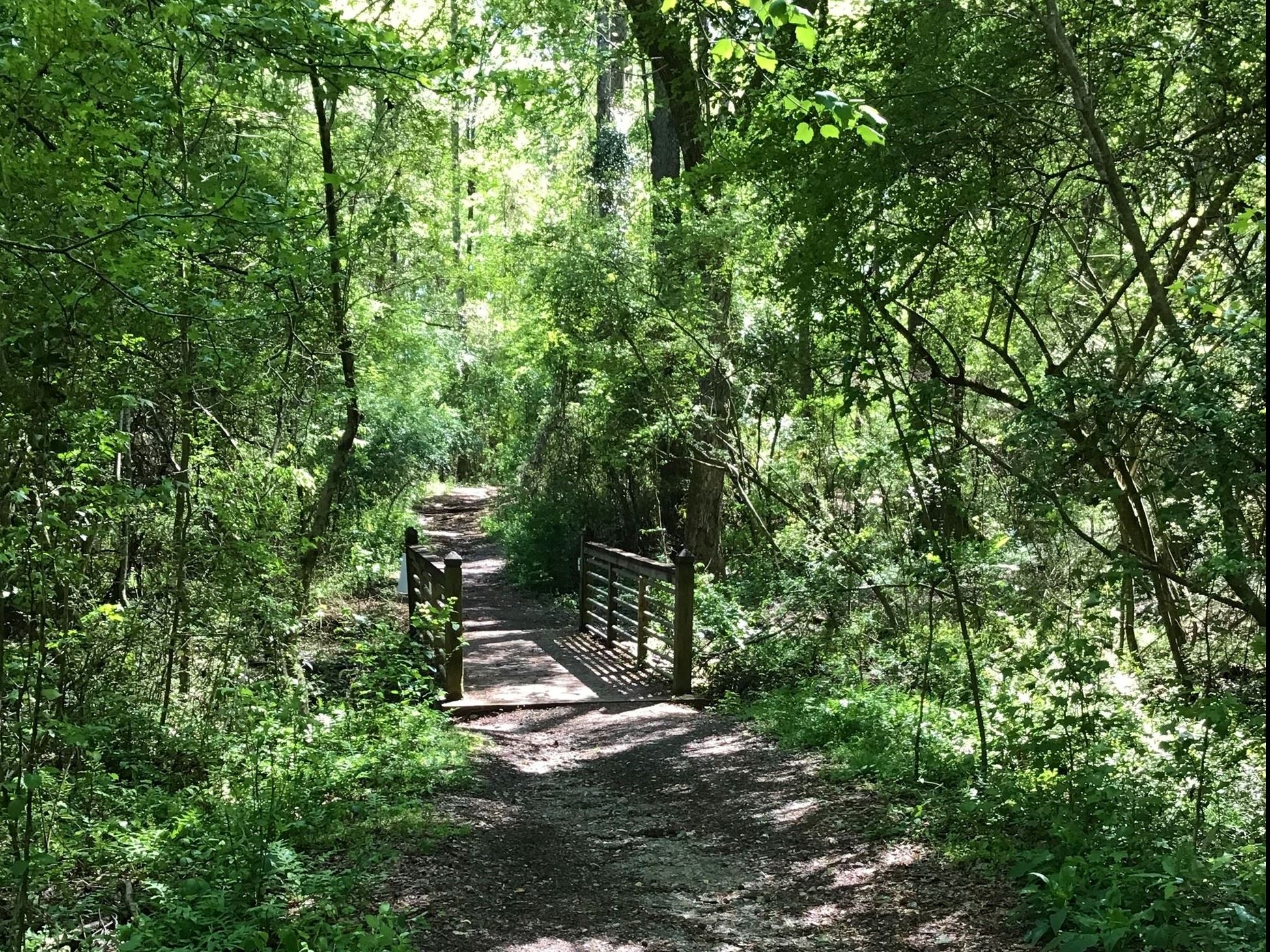 A small wooden bridge crossing a small stream on the Southeast Clarke Park nature trail.,