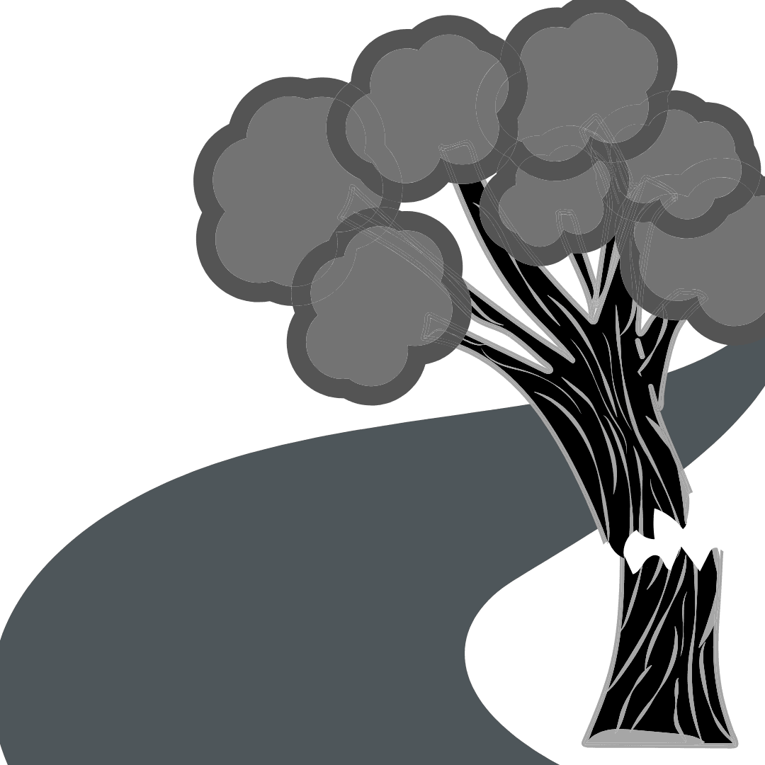 Broken Tree Over Trail