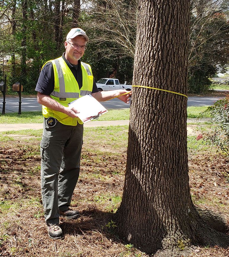 Community Forester Rodney Walters measures a tree