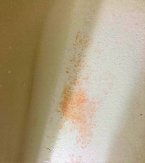 pink mold growing on bath tub