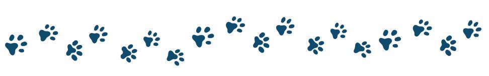 Navy blue paw prints