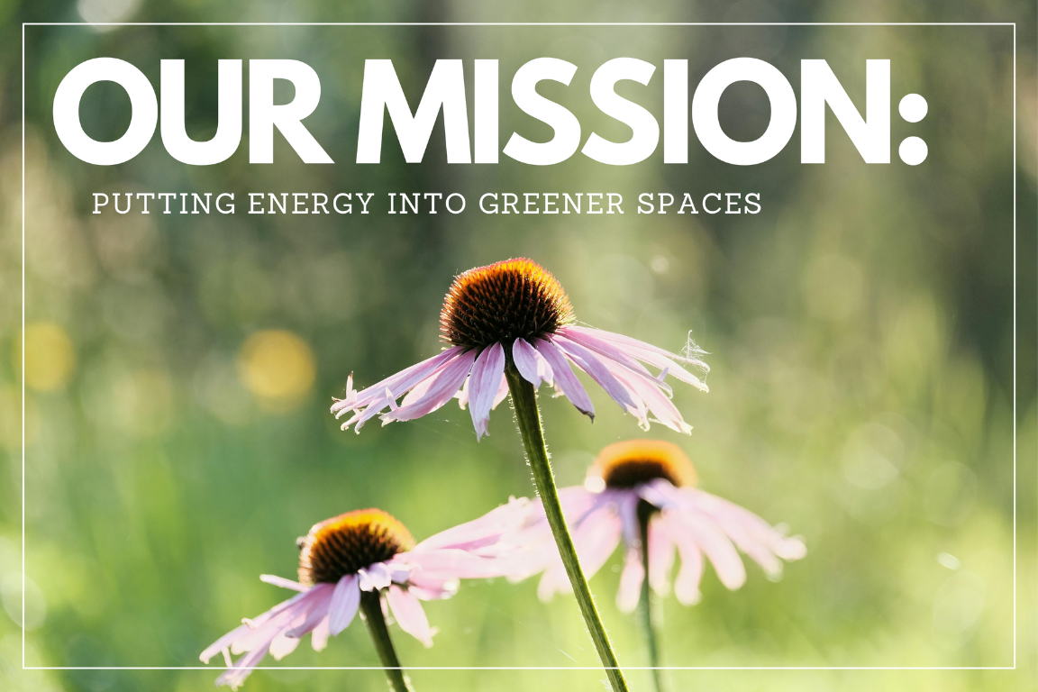 Purple coneflowers in morning light with the text \"Our Mission: Putting Energy into Greener Space
