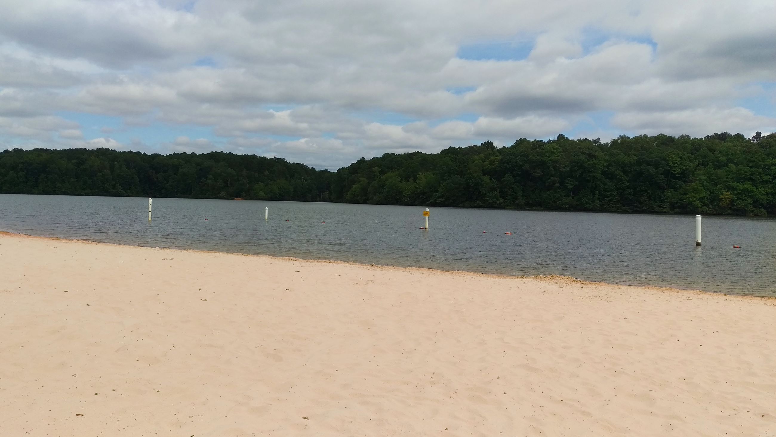 Photo of the Beach at Sandy Creek Park looking out across Lake Chapman.